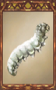 Image of the Silkworm Magnus