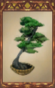 Image of the Pine Tree Magnus