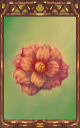 Image of the Celestial Flower Magnus